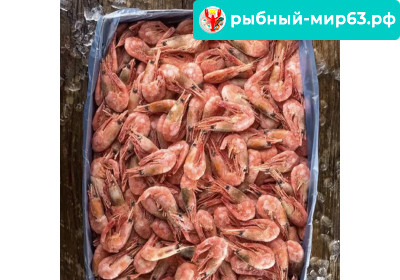 Северная креветка 120+ Северная креветка 120+