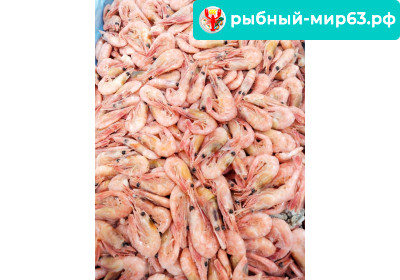 Северная креветка размер 250+ вес 1кг Северная креветка размер 250+ вес 1кг