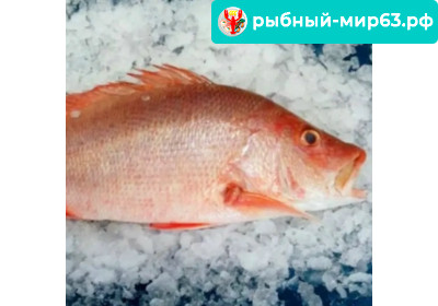 Рыба красный Луциан ш/з 1кг Рыба красный Луциан ш/з 1кг